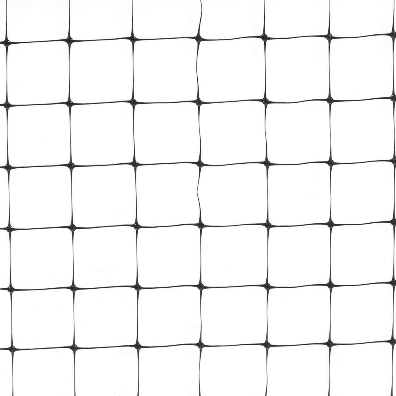 pigeons nets amman jordan pigeons nets amman jordan