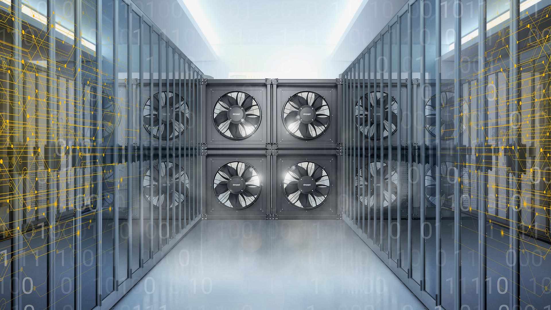 تنظيف مراكز بيانات عمان الاردن