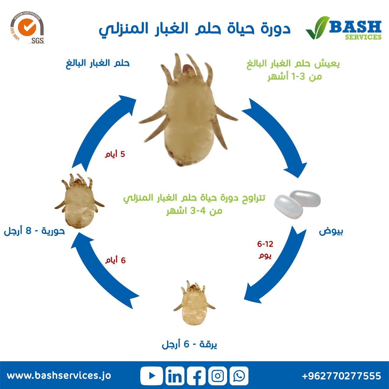 التخلص من عث الغبار عمان الاردن