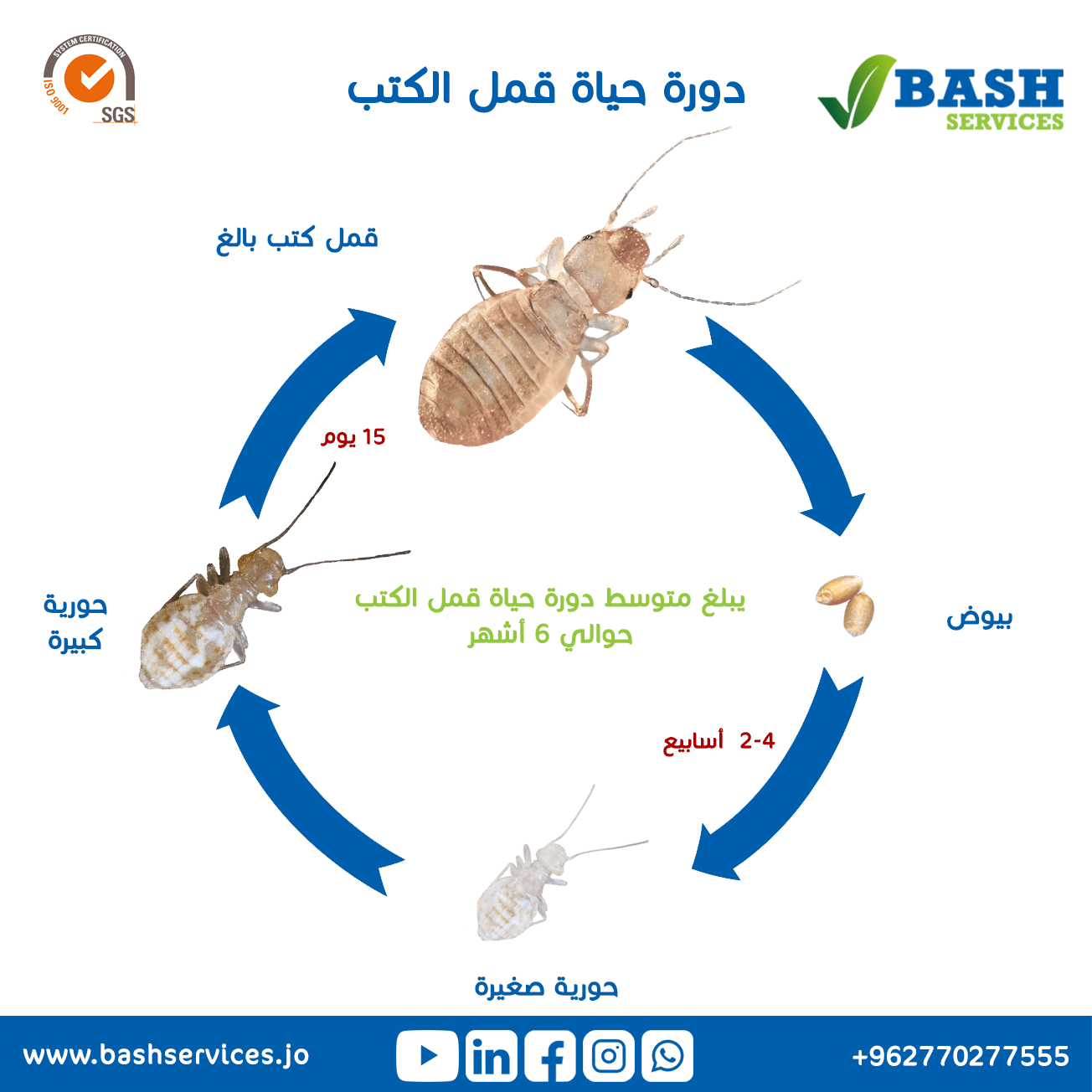 شركة مكافحة حشرات عمان الاردن