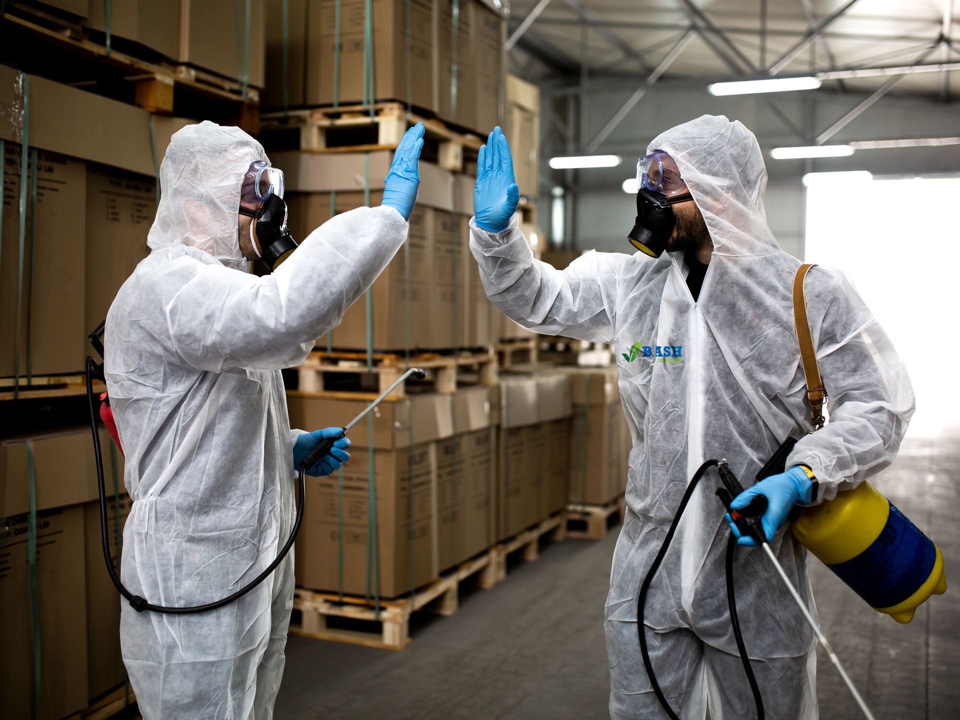 هاتف امانة عمان مكافحة القوارض الاردن هاتف امانة عمان مكافحة القوارض الاردن