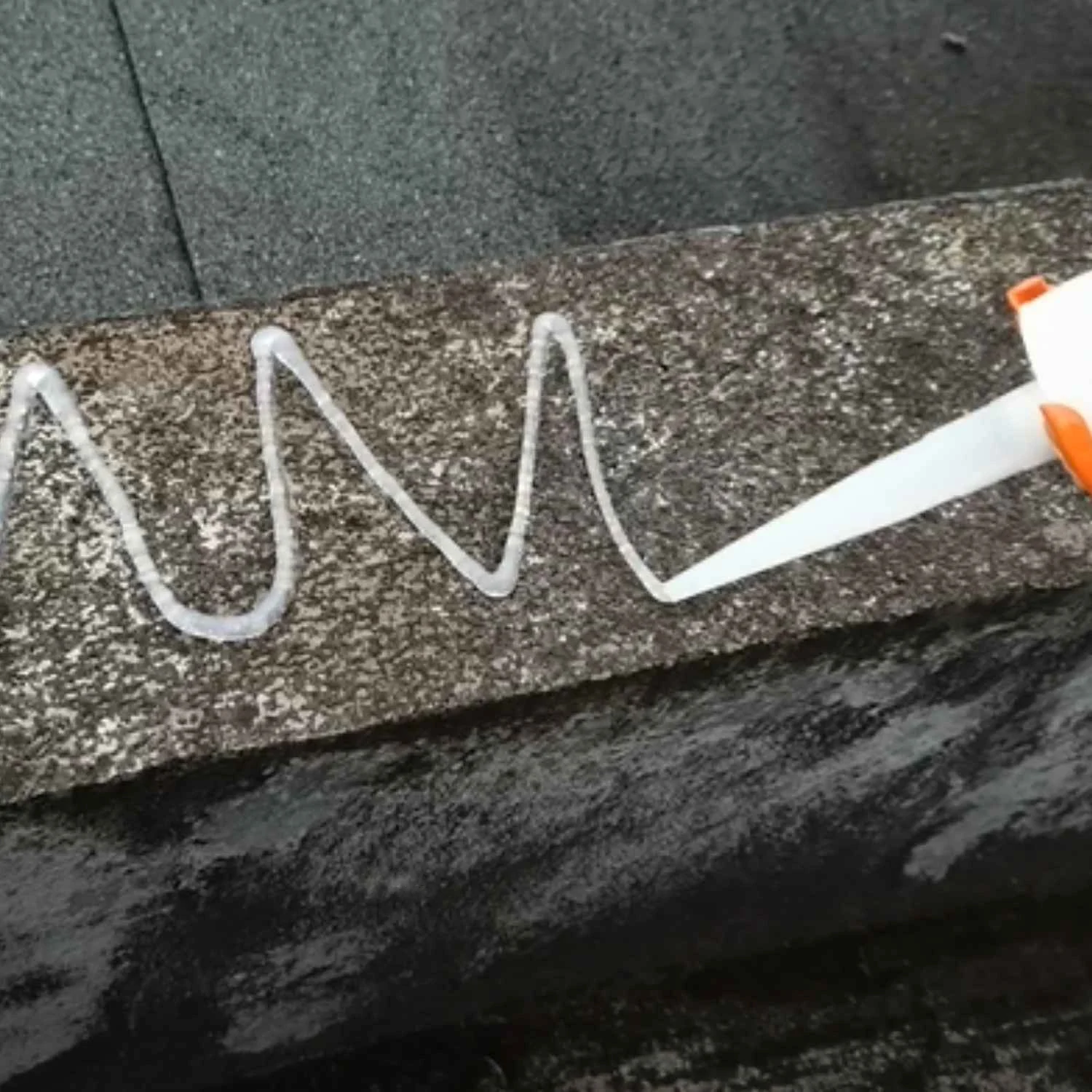 Bird Repellent Gel amman jordan