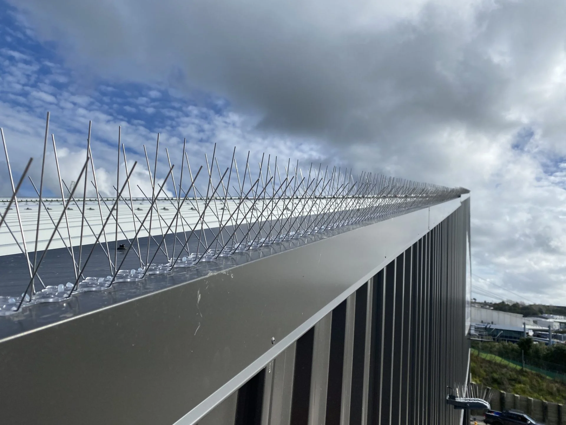 ابعاد الحمام و الطيور عمان الاردن ابعاد الحمام و الطيور عمان الاردن