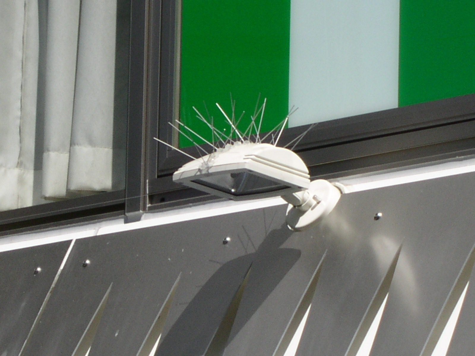 مكافحة الحمام و الطيور عمان الاردن طارد الحمام و الطيور عمان الاردن