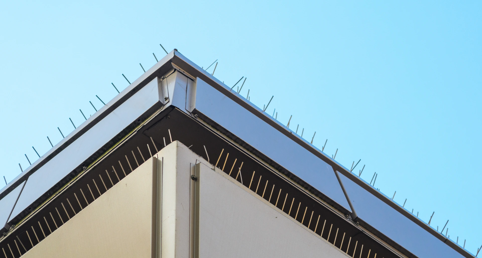 جهاز طرد الحمام و الطيور عمان الاردن جهاز طرد الحمام و الطيور عمان الاردن