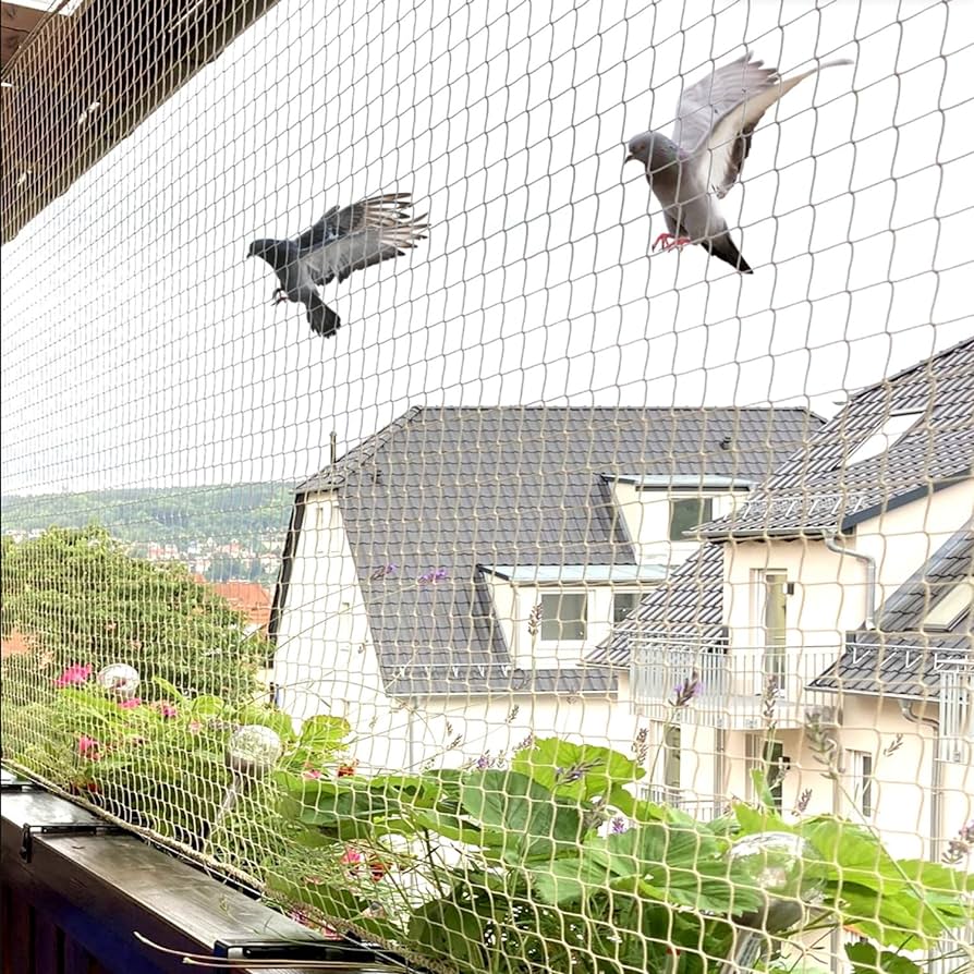 bird and pigeon nets amman jordan