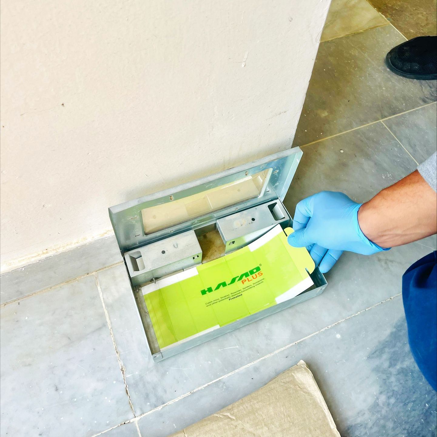 القضاء على الدود عمان الاردن