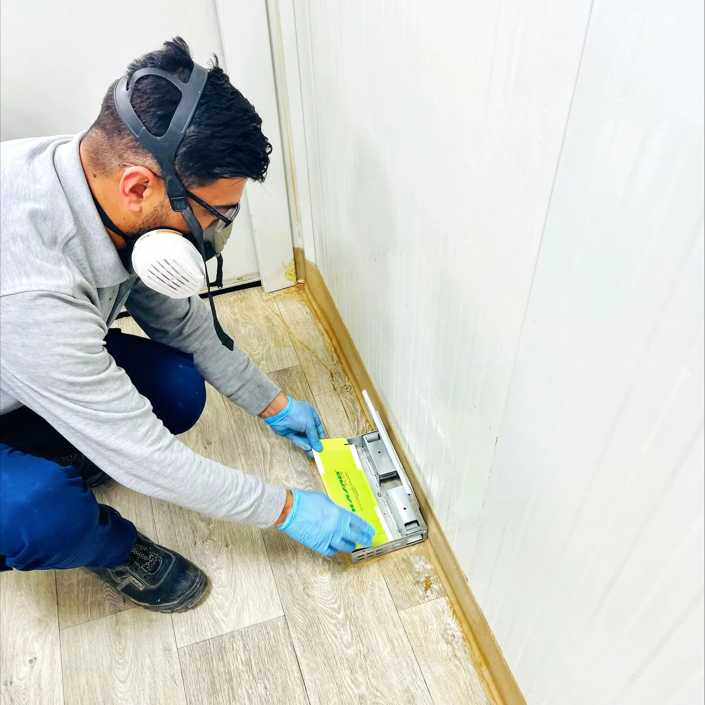 التخلص من الحشرات عمان الاردن