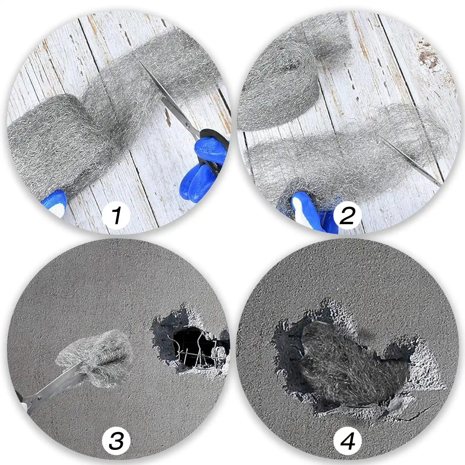 مكافحة الحشرات عمان الاردن