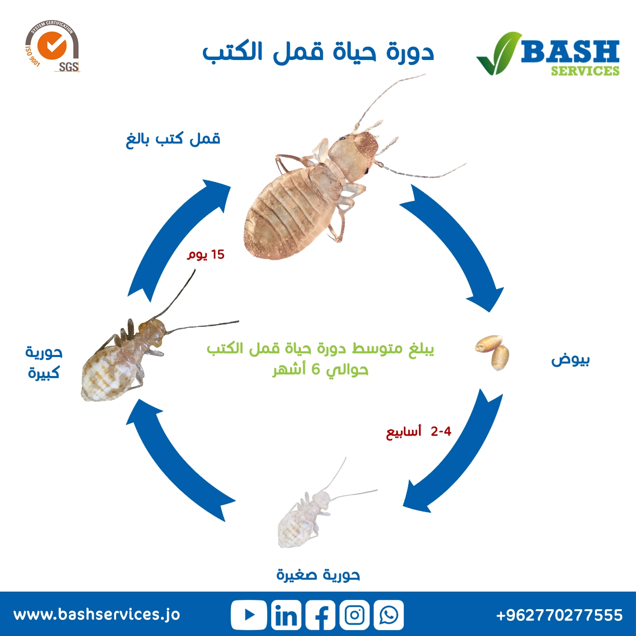 مكافحة قمل الكتب عمان الاردن