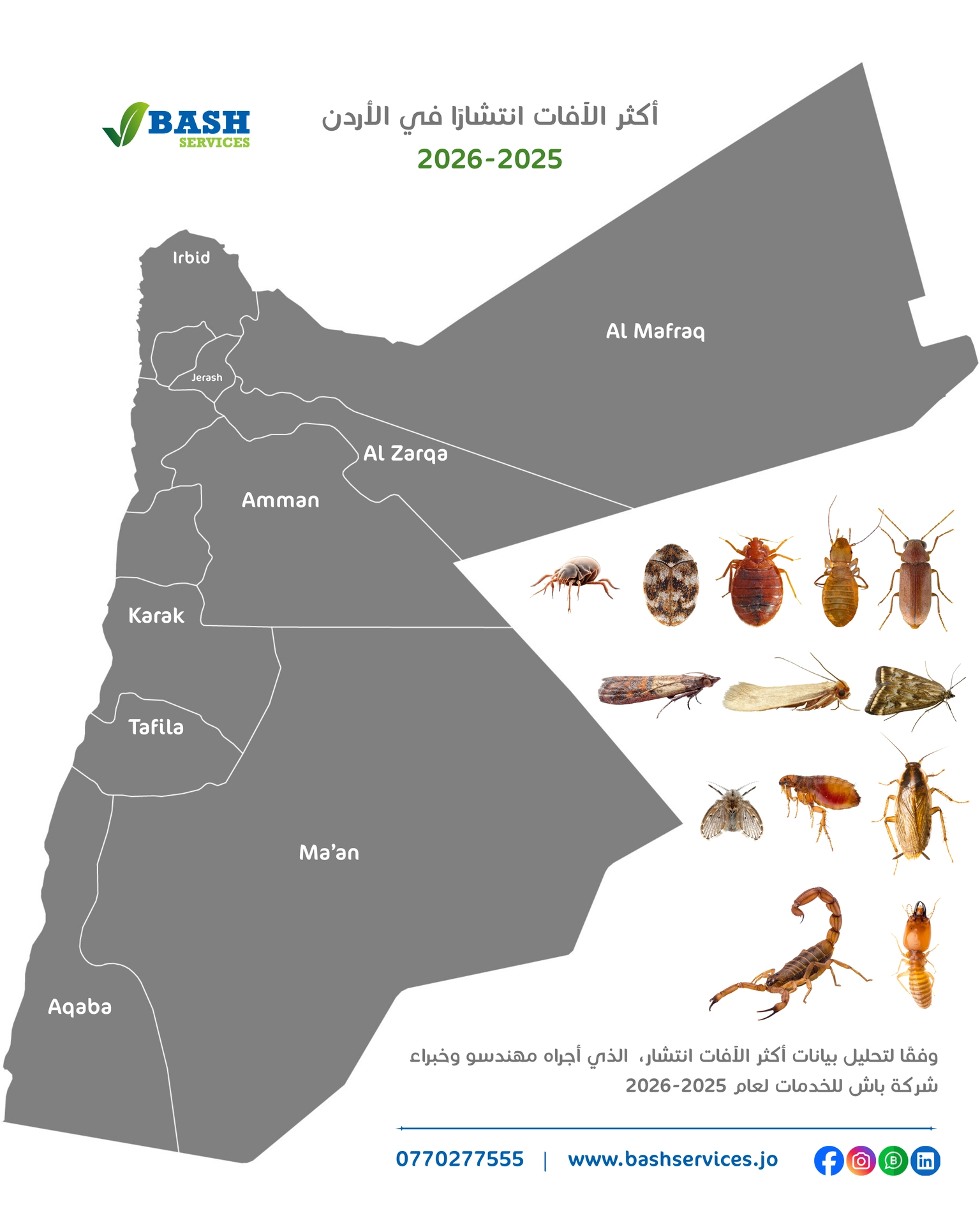 شركة مكافحة حشرات عمان الاردن شركة مكافحة حشرات عمان الاردن