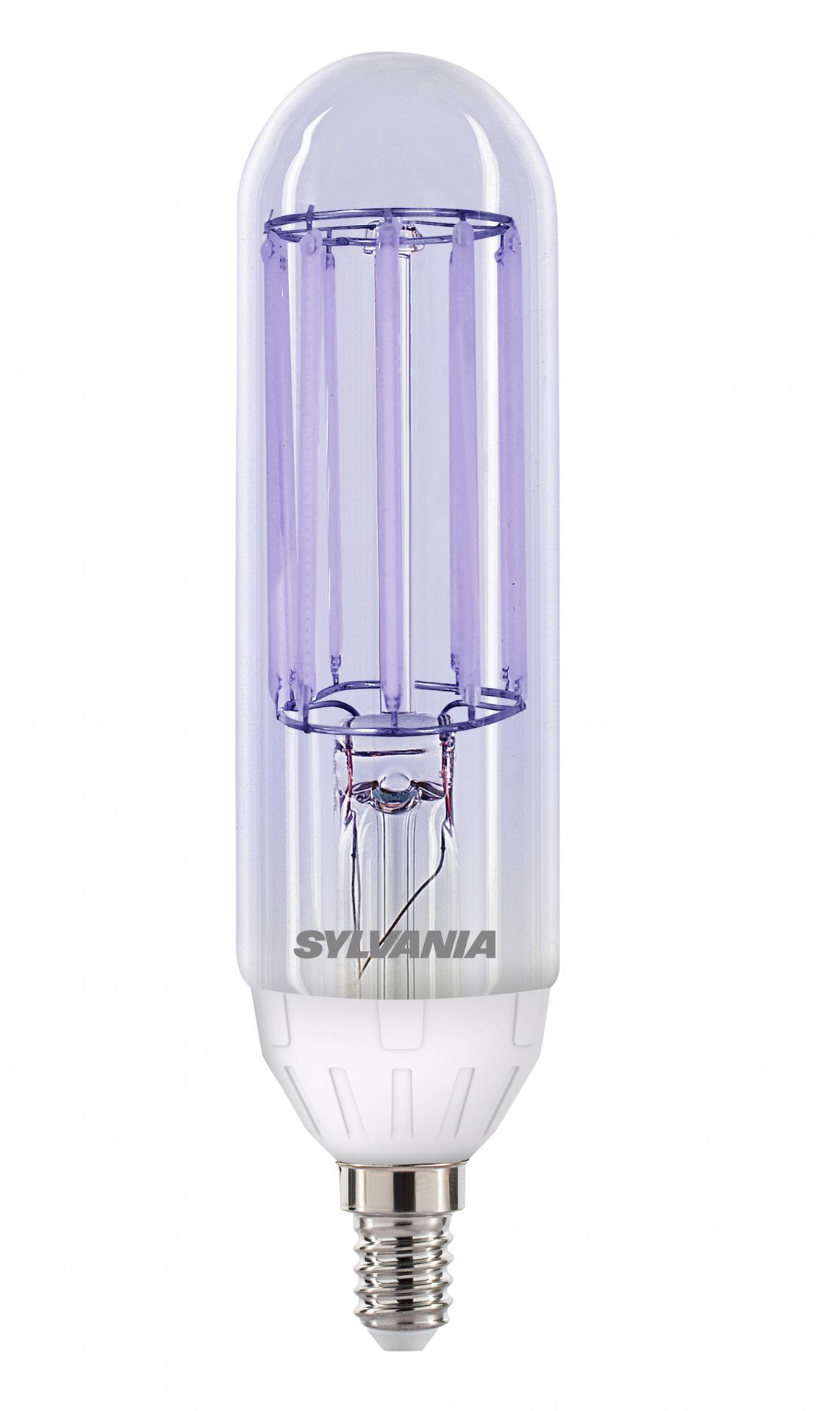 Top 7 Factors to Consider When Choosing Flying Insect Traps | Amman